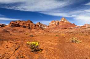 Vermillion Cliffs-4089.jpg